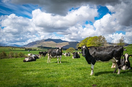 Berrier - Lake District Village with lovely views of Blencathra