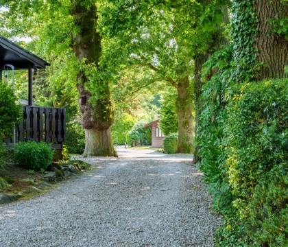 Old Orchards Lodge - Aynsome Manor Park, Cartmel