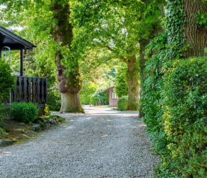 Old Orchards Lodge - Aynsome Manor Park, Cartmel